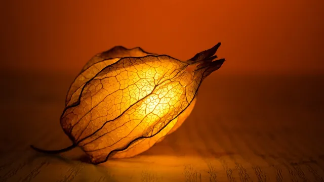 Licht (Foto: pixabay.com) Licht (Foto: pixabay.com)