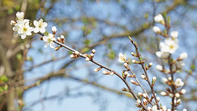 Ostern (Foto: AS) Ostern (Foto: AS)
